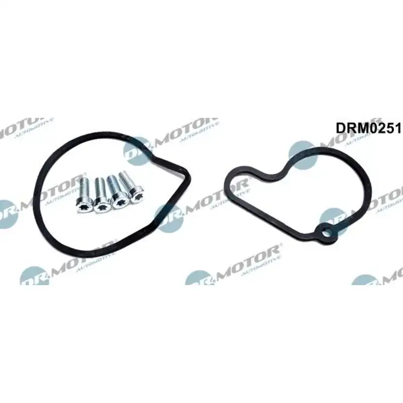 DRMA-DRM0251 Set reparatie, pompa vacuum (Siste frana) - Promoție