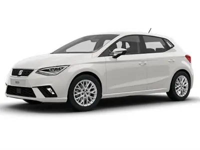 Stoc pe terminate - Cosuri de plafon pentru Seat Arona 2017-
