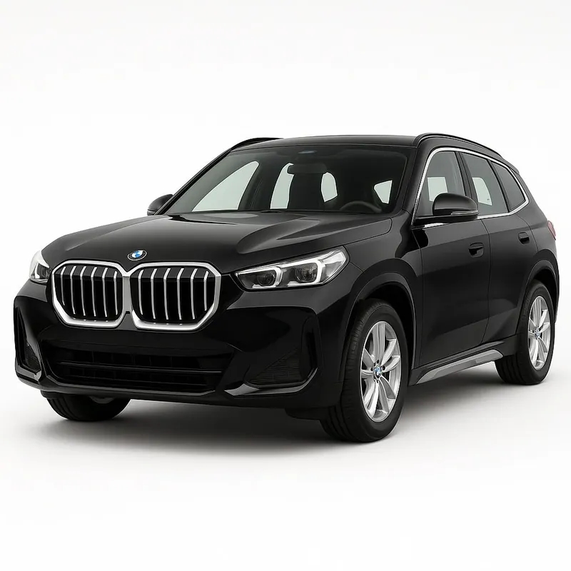 Au mai rămas puține bucăți - Ornamente / benzi cromate pentru BMW X1/iX1 (U11) 2022-